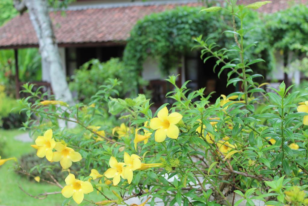 Margo Utomo Eco Resort Kalibaru Exteriör bild