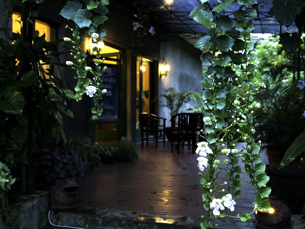 Margo Utomo Eco Resort Kalibaru Exteriör bild