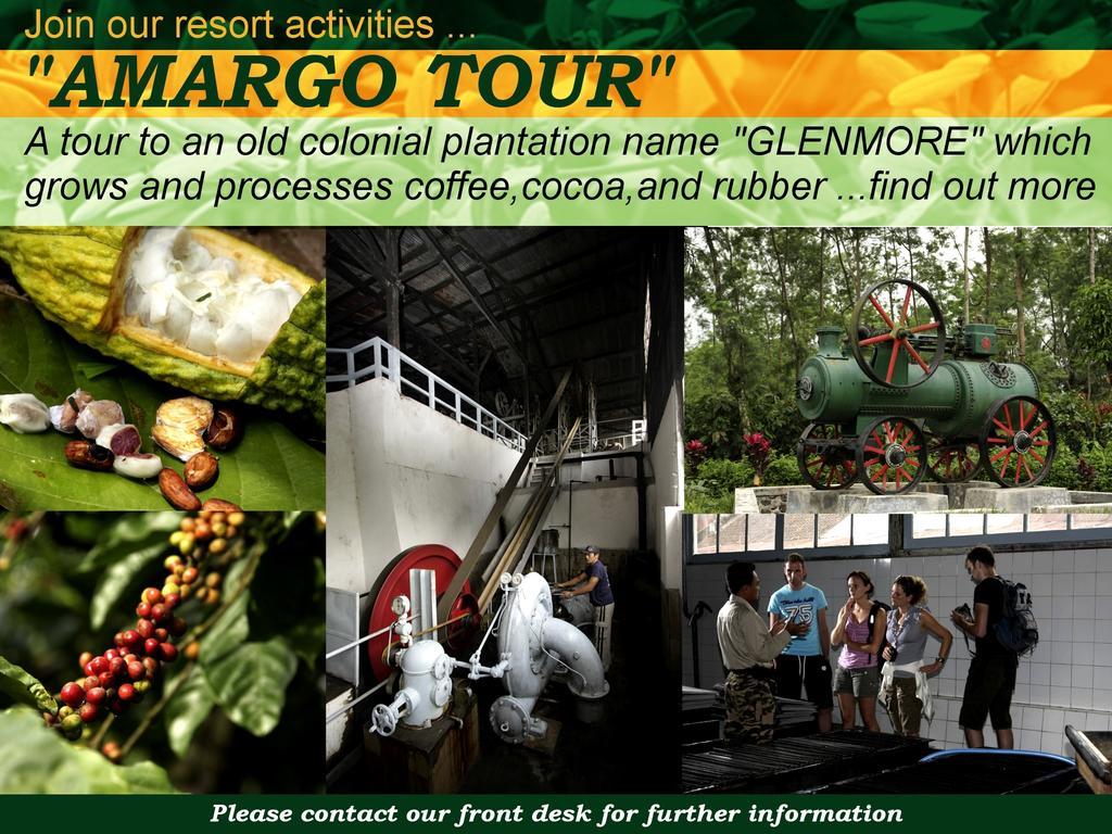 Margo Utomo Eco Resort Kalibaru Exteriör bild