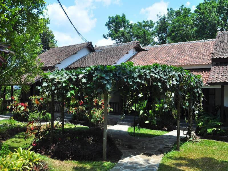 Margo Utomo Eco Resort Kalibaru Exteriör bild
